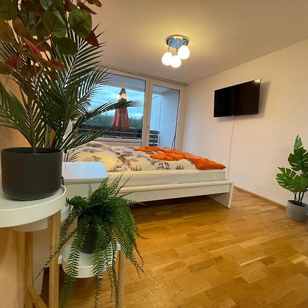 Ferienwohnung In Freudenstadt-Kniebis III Kültér fotó