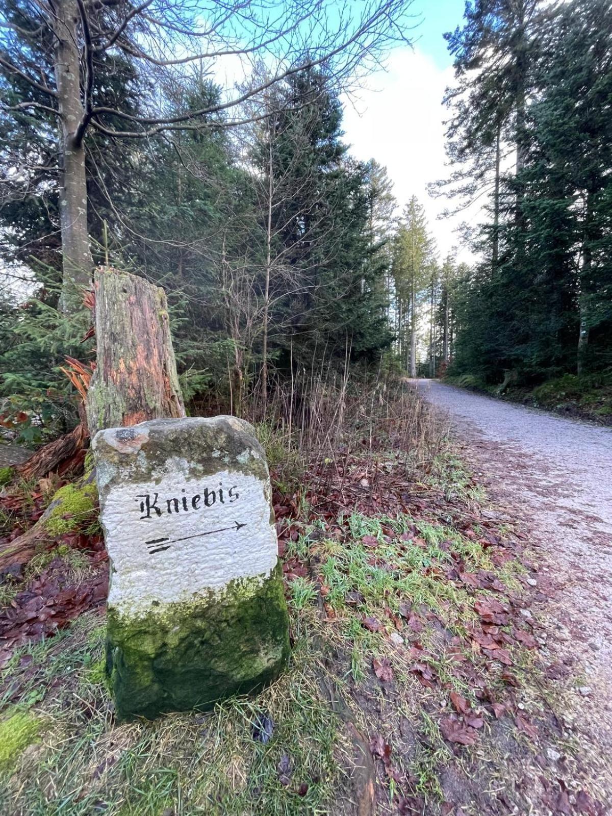 Ferienwohnung In Freudenstadt-Kniebis III Kültér fotó
