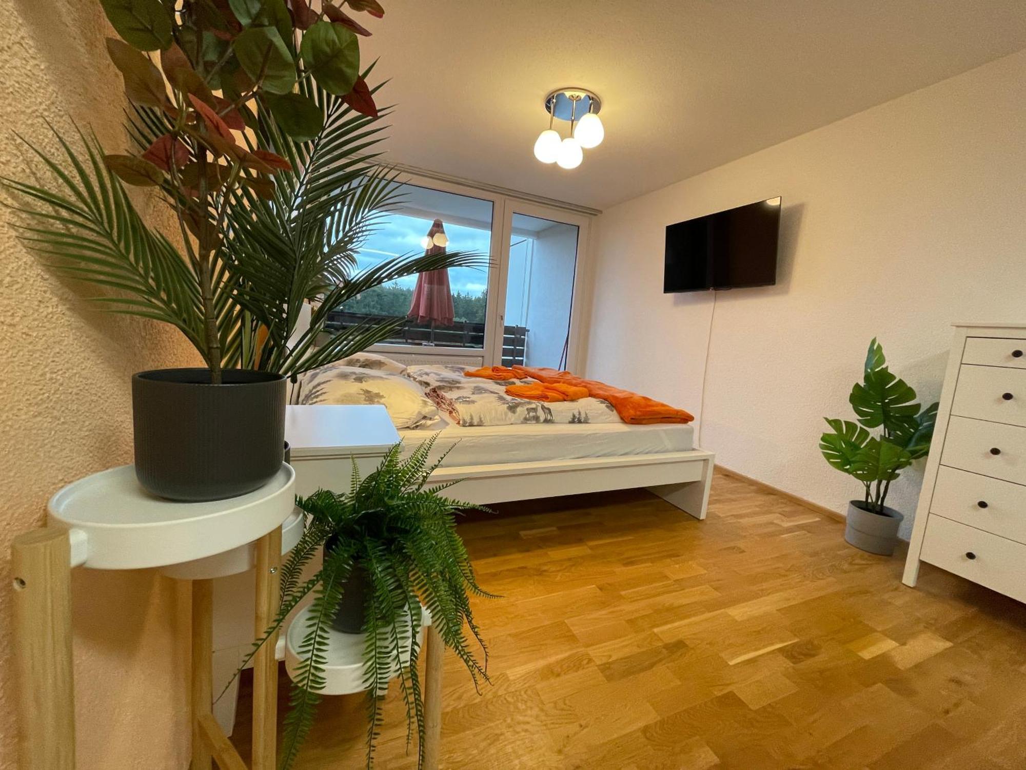 Ferienwohnung In Freudenstadt-Kniebis III Kültér fotó